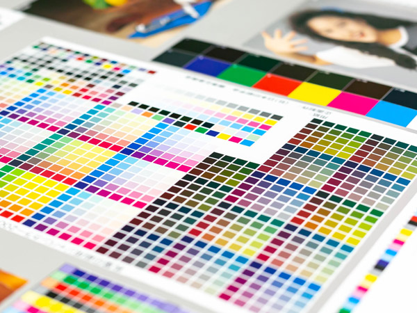 Japan Color�F�؎擾