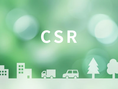 CSR����